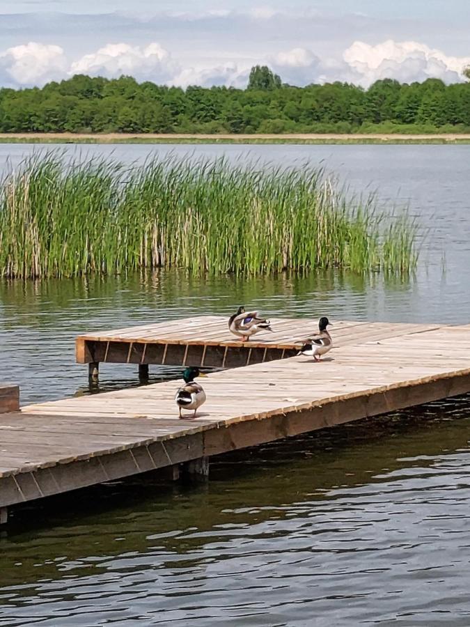 Domki Lawendowy Zakatek Boszkowo Exteriör bild